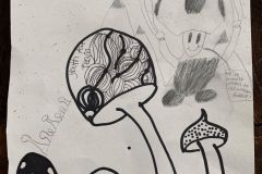 © 2020 Sophie, Corin