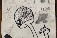 © 2020 Sophie, Corin, Alexander